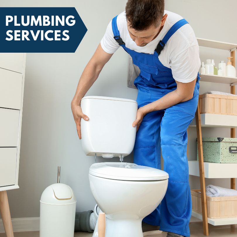 Plumbing Company in Centreville, MI